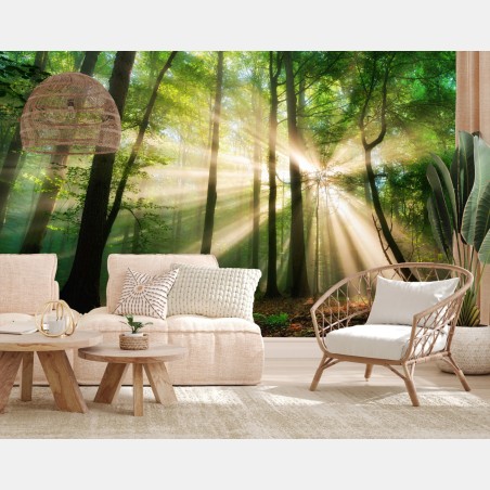Wall mural sunbeams in a green forest • Wallissimo®