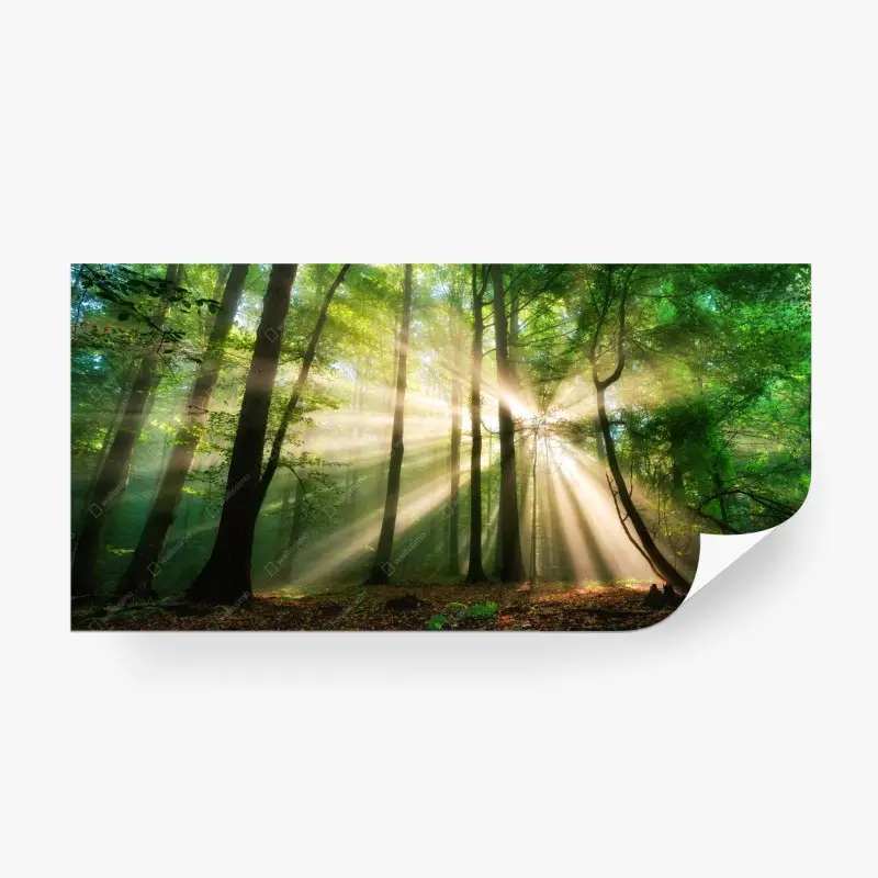 Wall mural • Wallissimo®