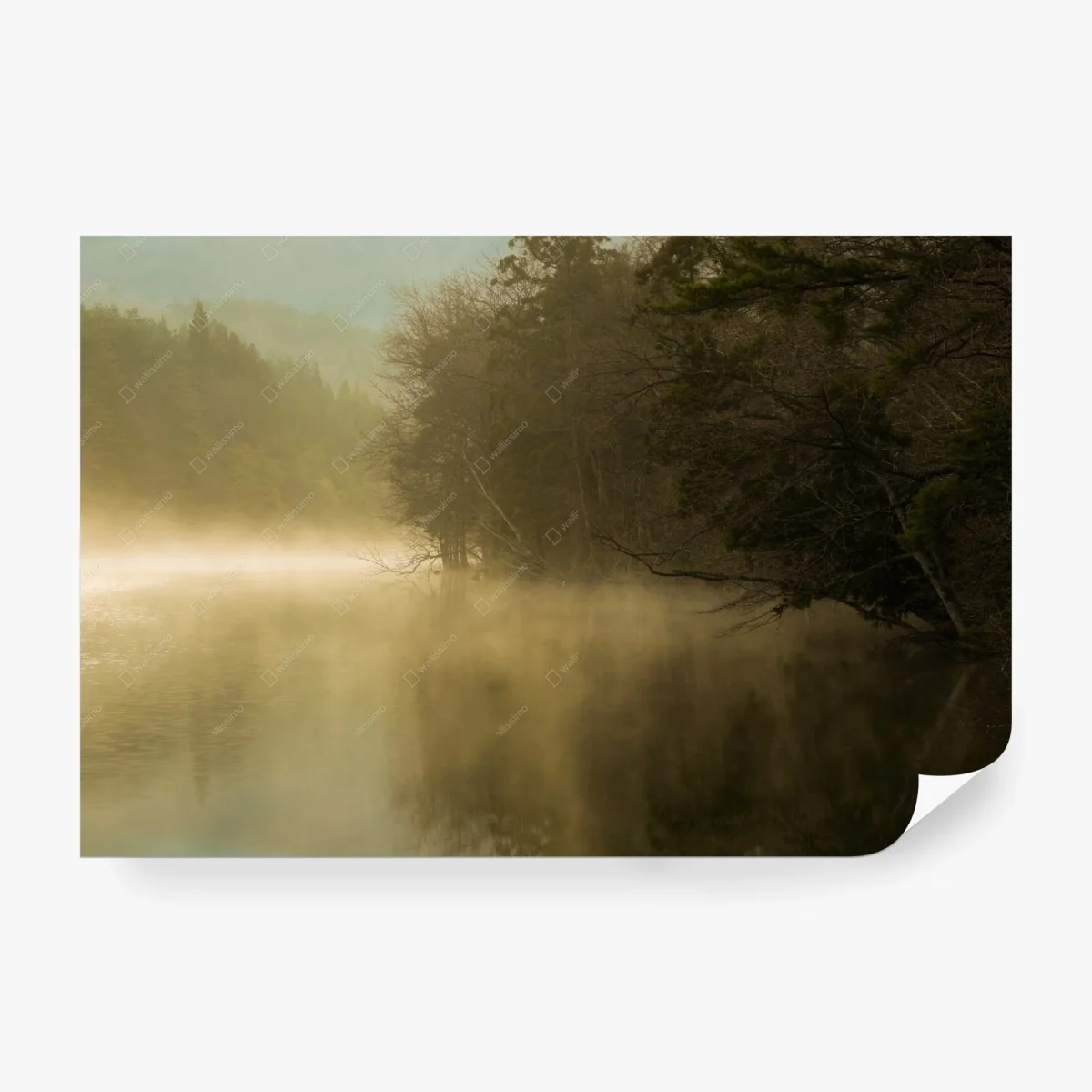 Wall mural misty lakeside forest at dawn • Wallissimo® Wall mural misty lakeside forest at dawn • Wallissimo®