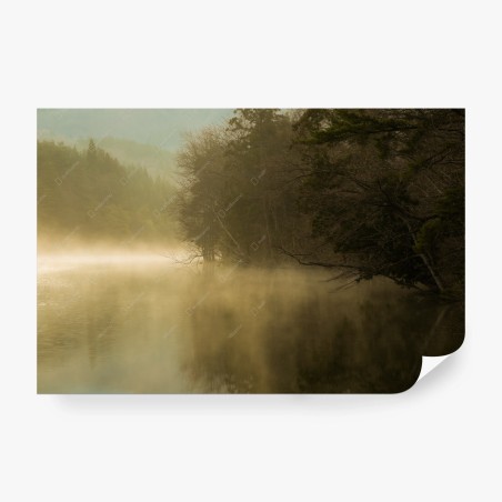 Wall mural misty lakeside forest at dawn • Wallissimo®