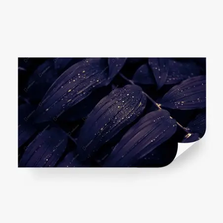 Wall mural moody purple foliage with dewdrops • Wallissimo®