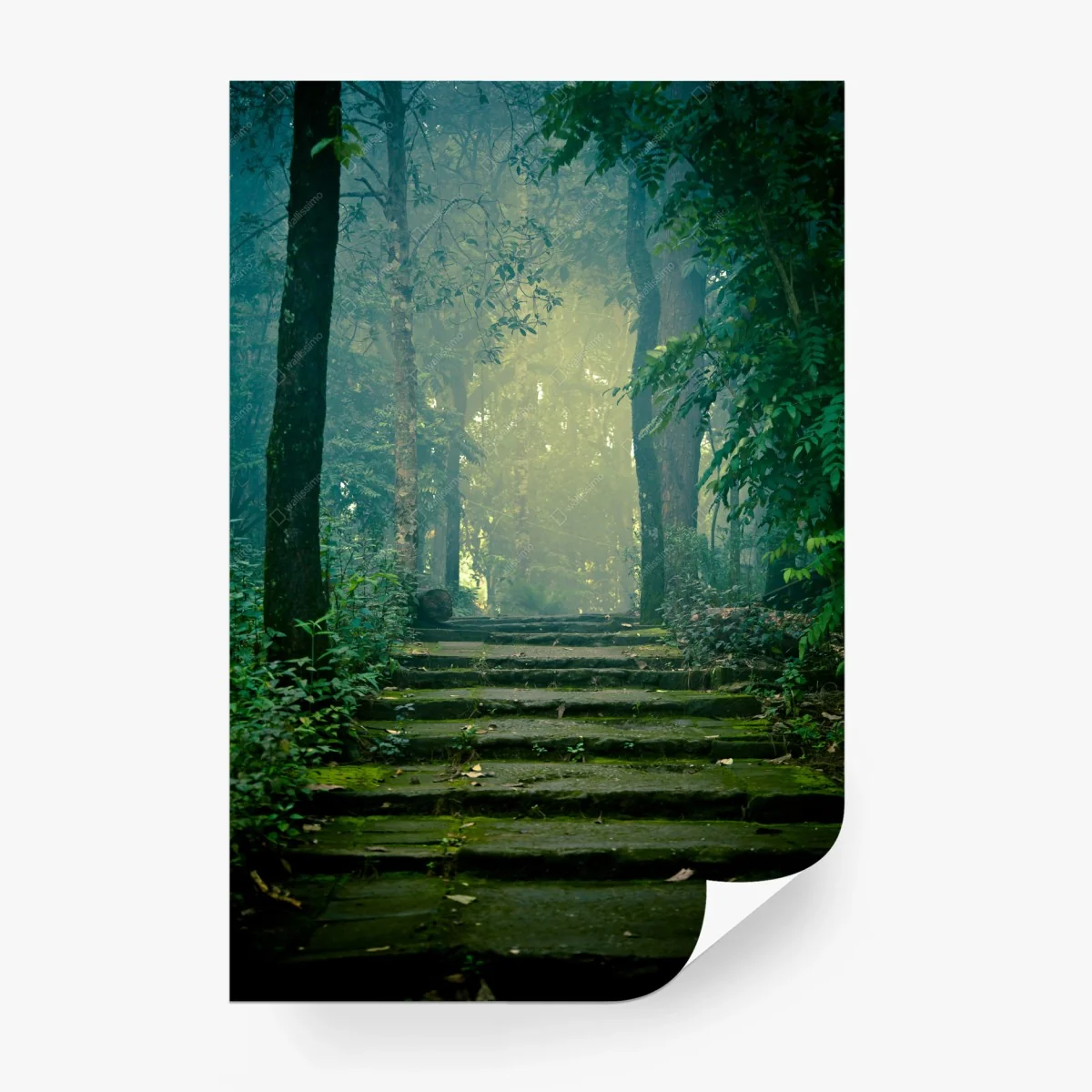 Wall mural moss-covered stone path into a misty forest • Wallissimo® Wall mural moss-covered stone path into a misty forest • Wallissimo®