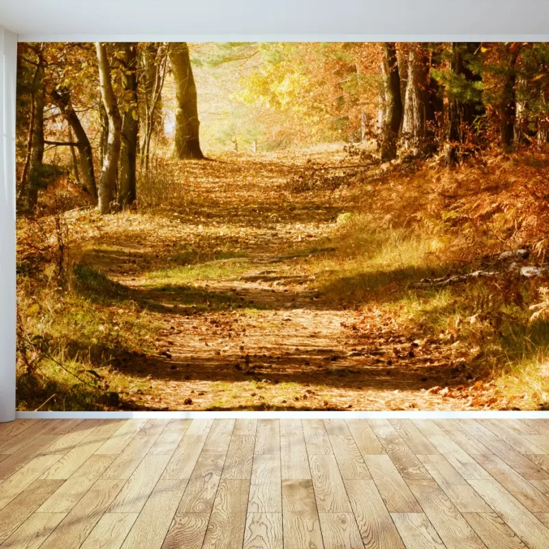 Wall mural autumn forest path with golden sunlight • Wallissimo®