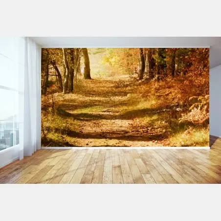 Wall mural autumn forest path with golden sunlight • Wallissimo®
