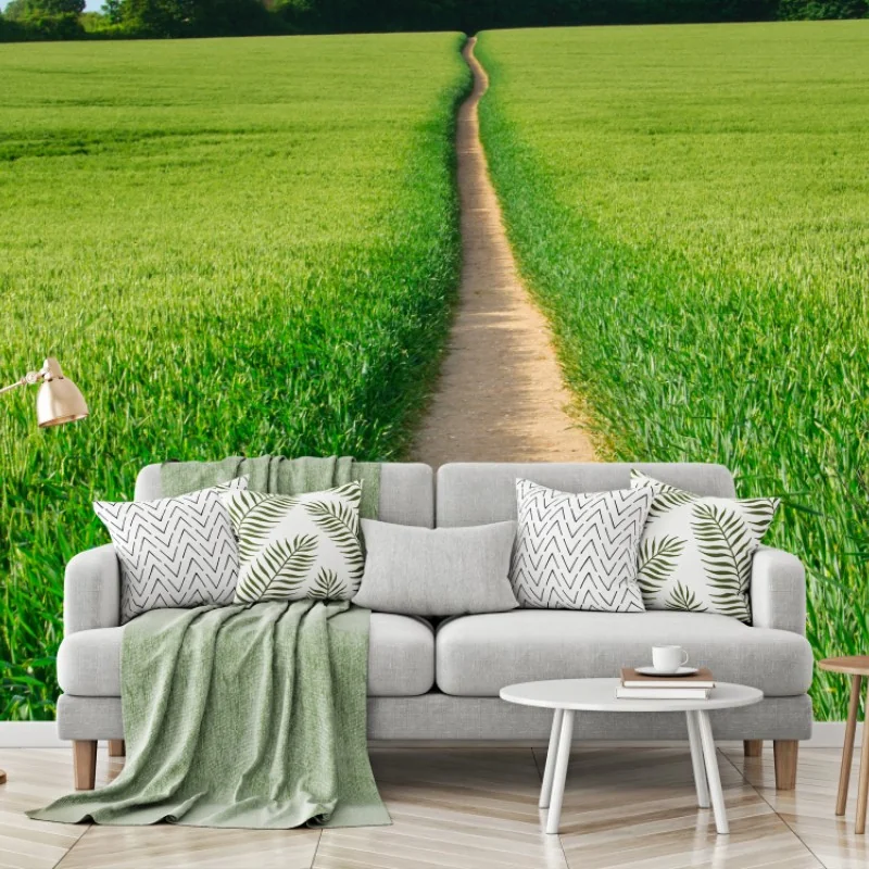 Wall mural sunlit path through green meadow