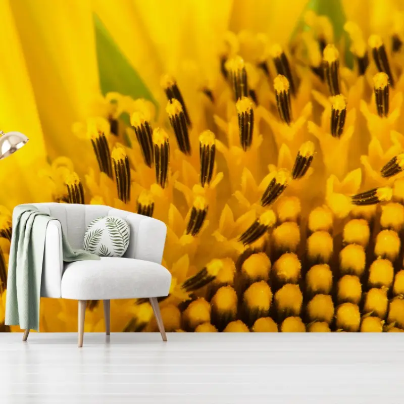 Wall mural golden sunflower close-up