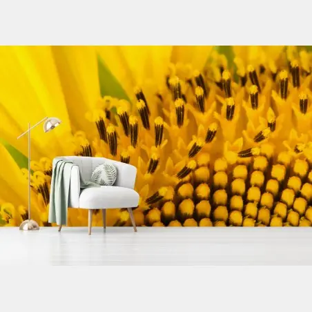 Wall mural golden sunflower close-up • Wallissimo®