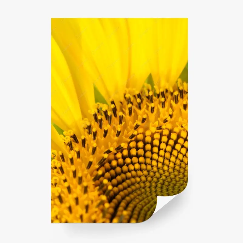 Wall mural • Wallissimo®