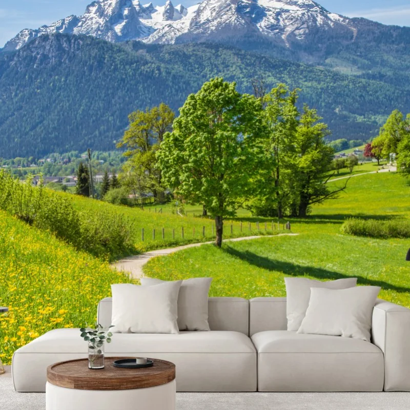 Wall mural alpine meadow and mountain trail