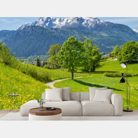 Wall mural alpine meadow and mountain trail • Wallissimo®