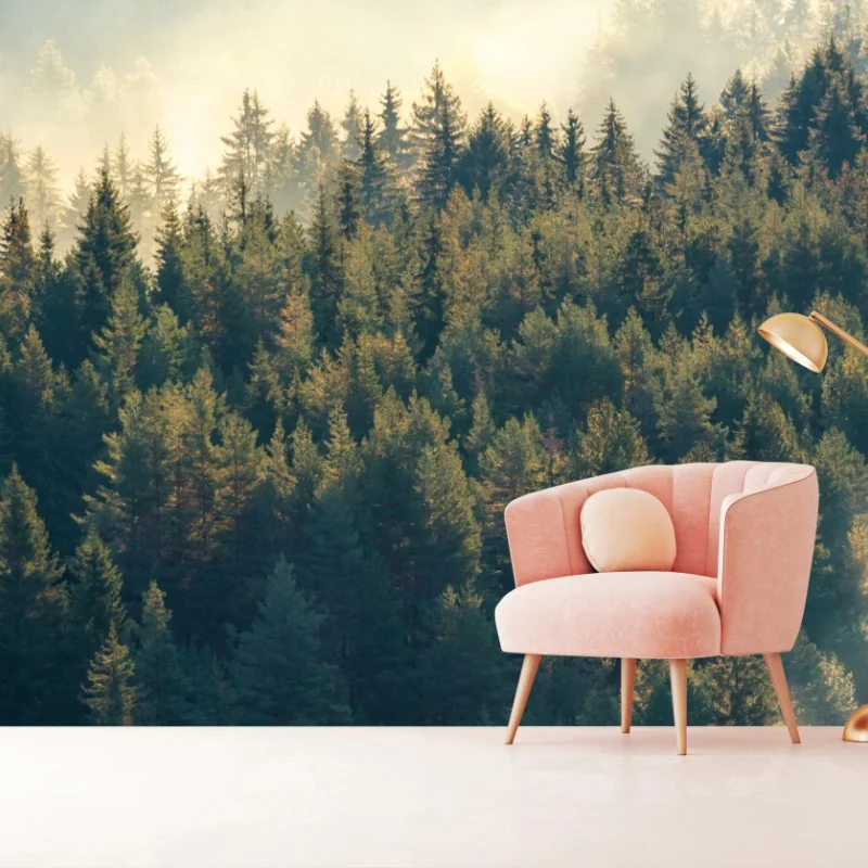 Wall mural misty pine forest at dawn • Wallissimo®