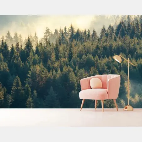 Wall mural misty pine forest at dawn • Wallissimo®
