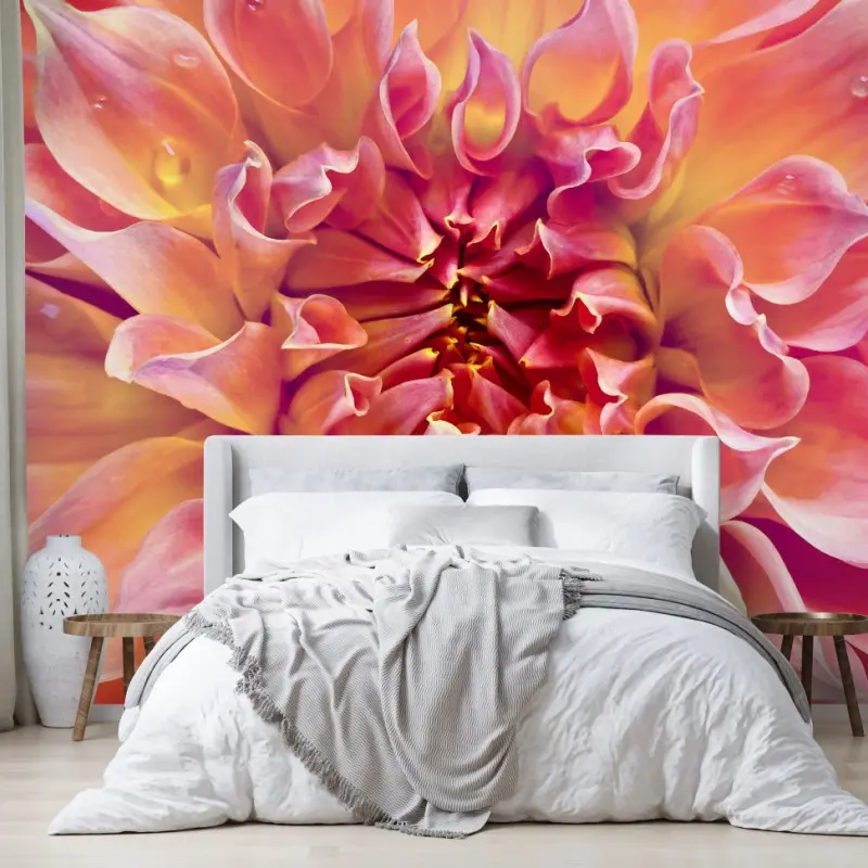 Wall mural pink dahlia bloom close-up