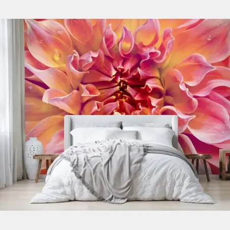 Wall mural pink dahlia bloom close-up • Wallissimo®