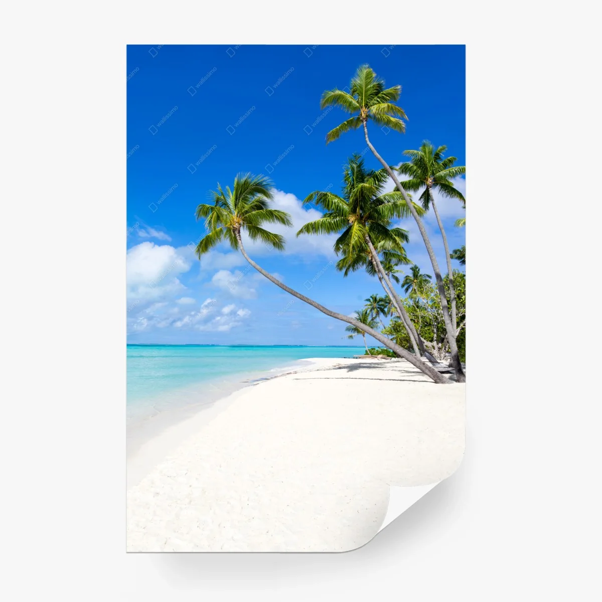 Wall mural tropical palm beach paradise • Wallissimo® Wall mural tropical palm beach paradise • Wallissimo®