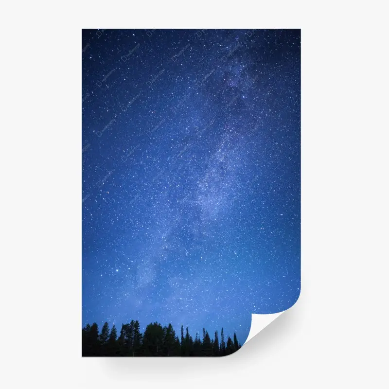 Wall mural • Wallissimo®