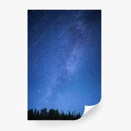 Wall mural starlit Milky Way over forest • Wallissimo®