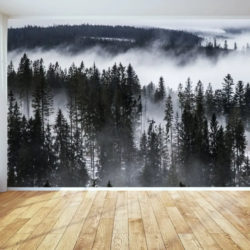 Wall mural Tatra mountains in winter mist
