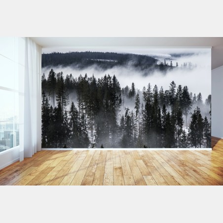Wall mural Tatra mountains in winter mist • Wallissimo®
