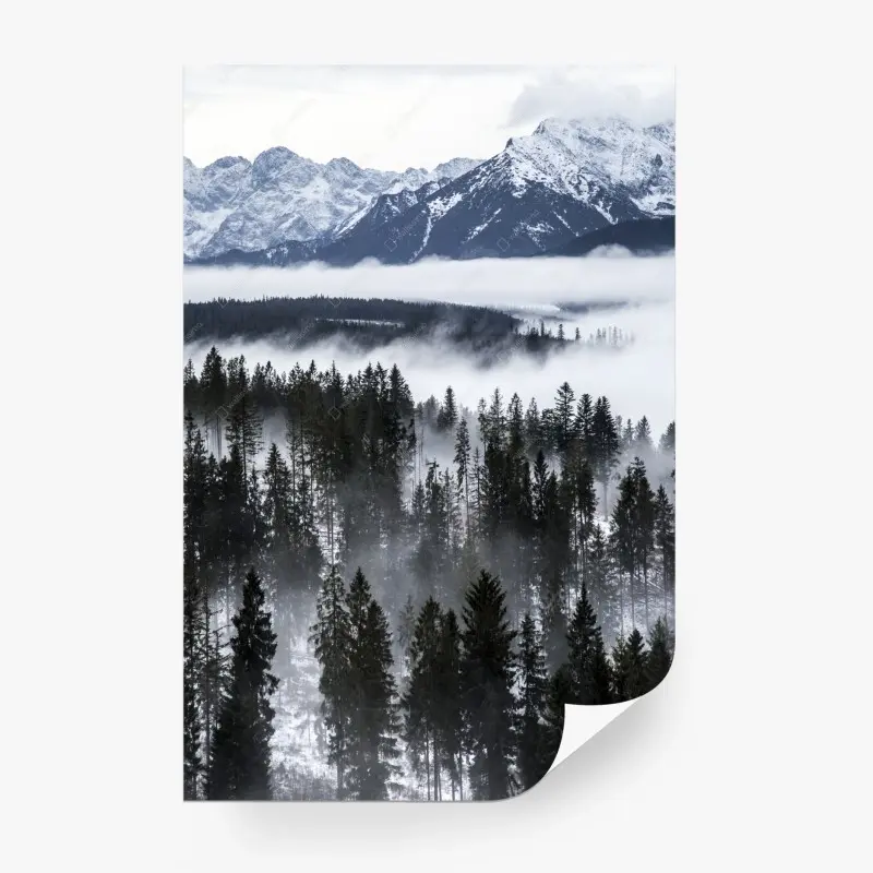 Wall mural • Wallissimo®