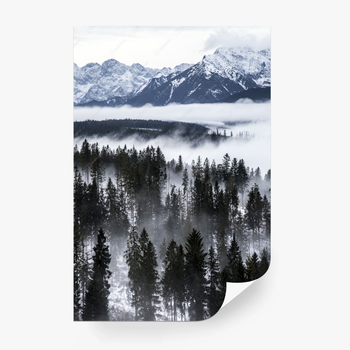 Wall mural Tatra mountains in winter mist • Wallissimo®