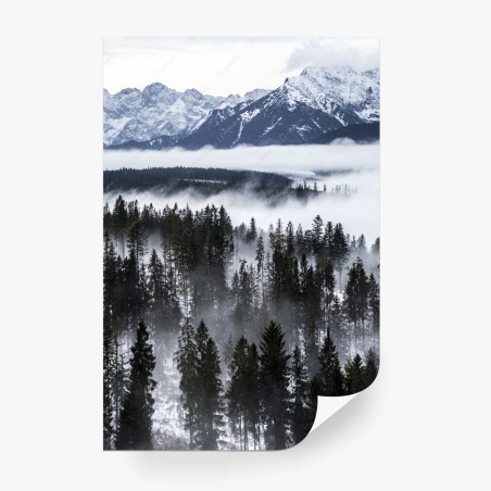 Wall mural Tatra mountains in winter mist • Wallissimo®