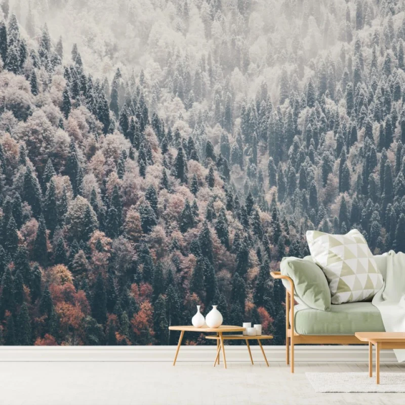 Wall mural autumn mist over mountain forest