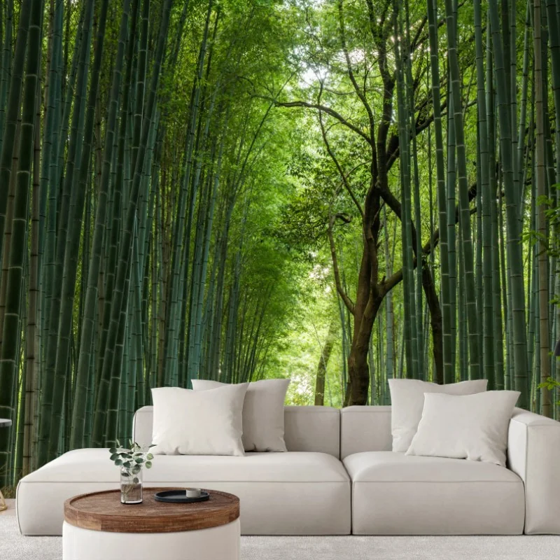 Wall mural serene bamboo grove pathway