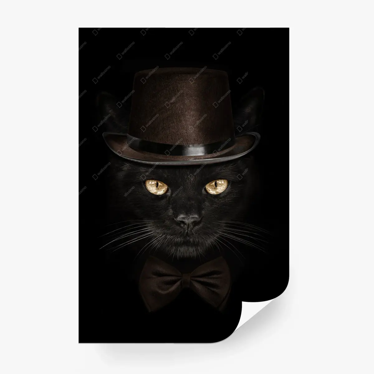 Wall mural dapper black cat in top hat and bow tie • Wallissimo®