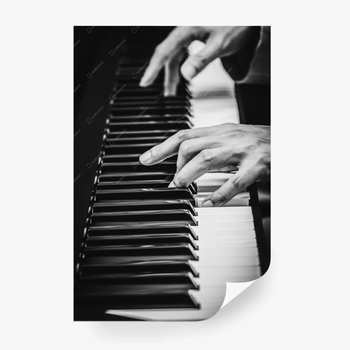 Wall mural piano hands in motion • Wallissimo®