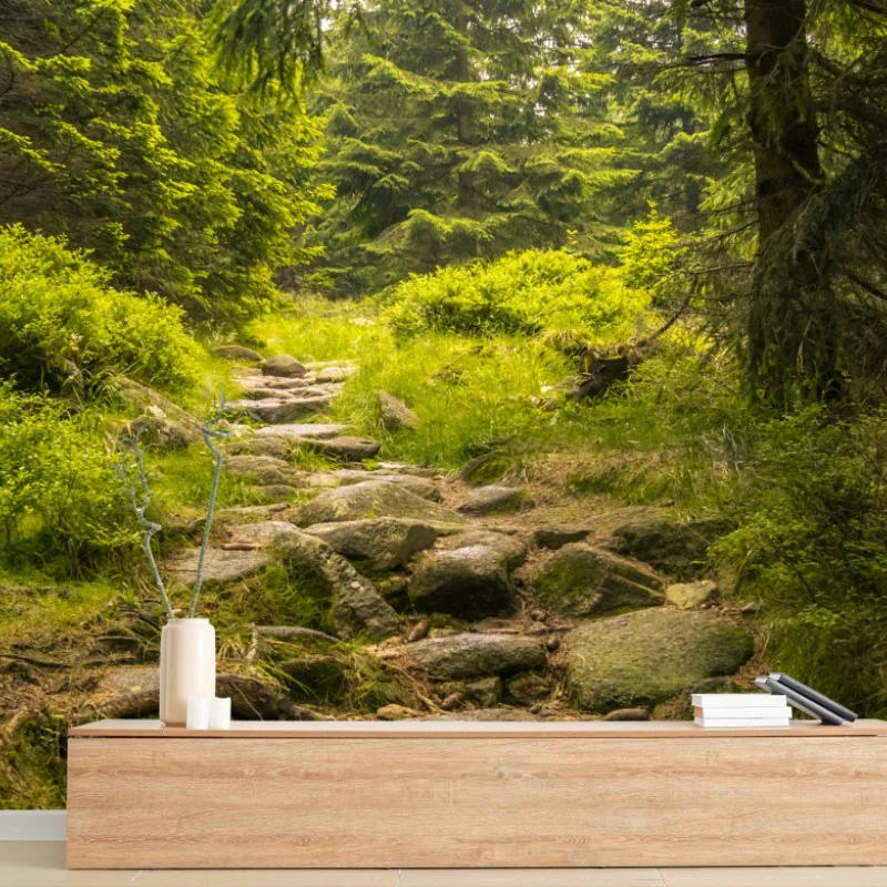 Wall mural serene forest path through evergreen woods