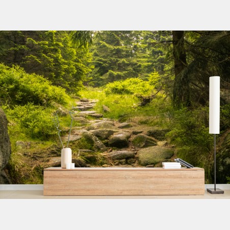 Wall mural serene forest path through evergreen woods • Wallissimo®
