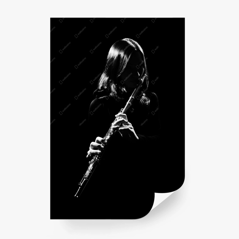 Wall mural elegant flute silhouette