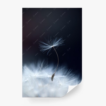Wall mural delicate dandelion seed close-up • Wallissimo®