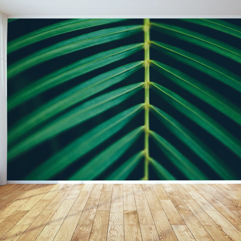 Wall mural vertical palm leaf close-up