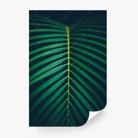 Wall mural vertical palm leaf close-up • Wallissimo®