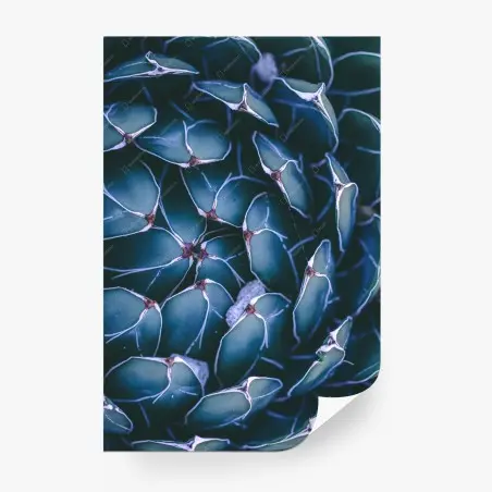 Wall mural geometric turquoise succulent close-up • Wallissimo®