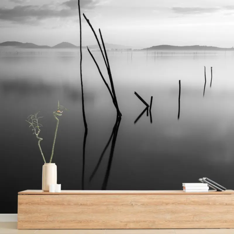 Wall mural tranquil monochrome lake with reflections