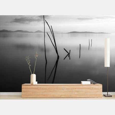 Wall mural tranquil monochrome lake with reflections • Wallissimo®