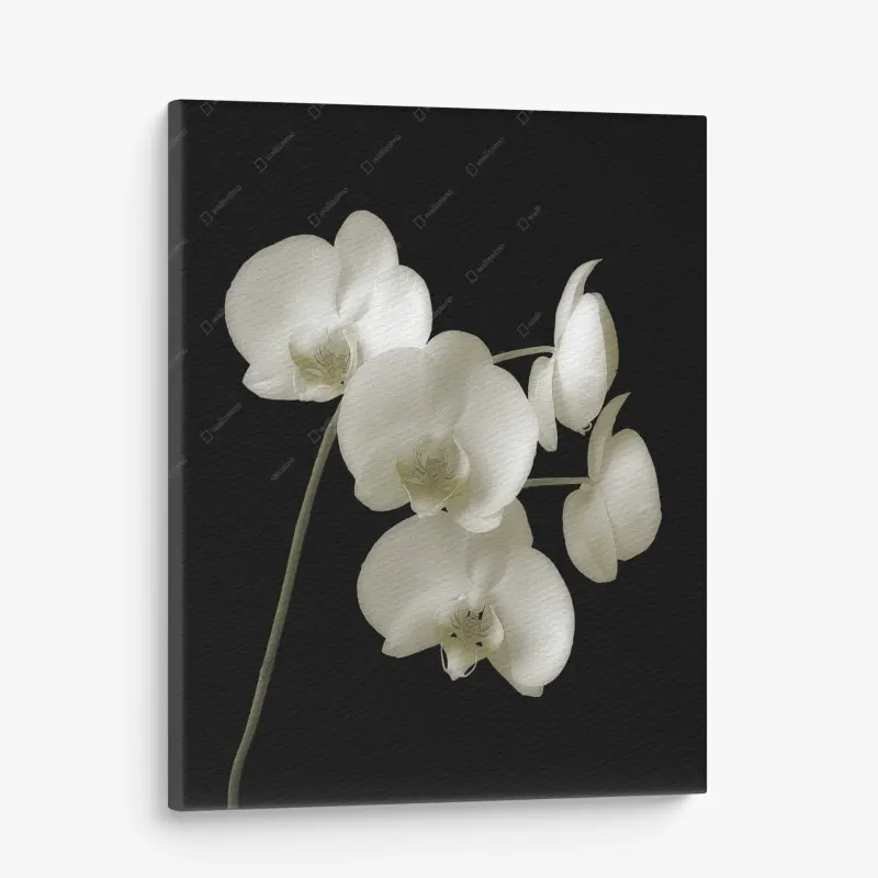 Canvas print • Wallissimo®