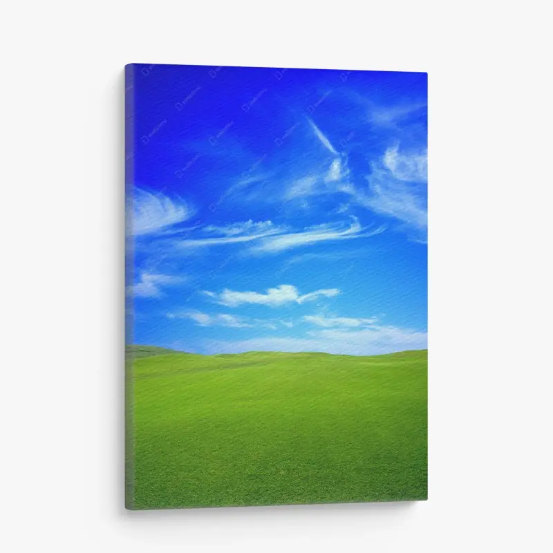 Canvas print green meadow under blue sky