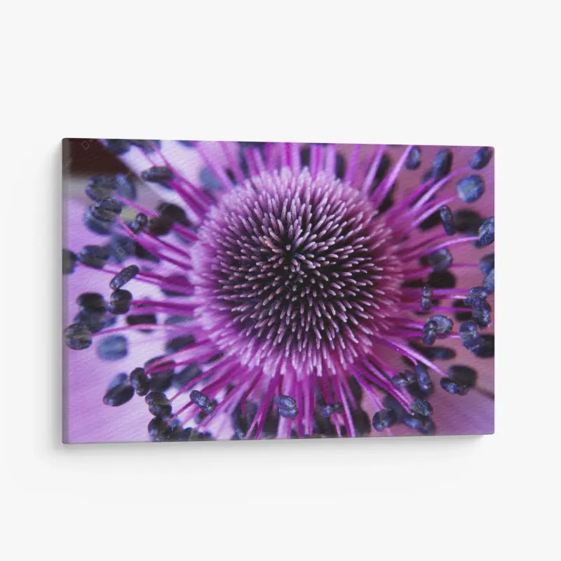 Canvas print vibrant purple flower macro
