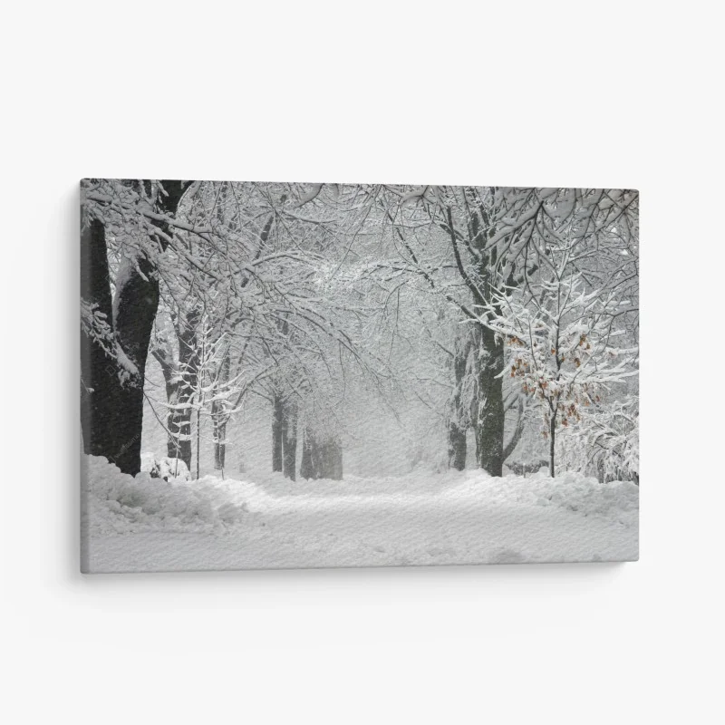 Canvas print serene winter forest pathway