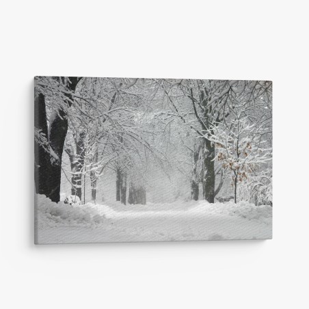 Canvas print serene winter forest pathway • Wallissimo®