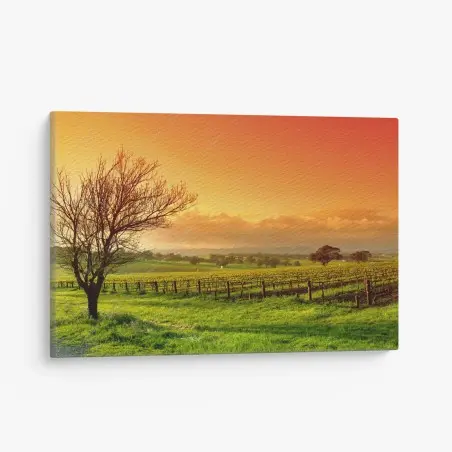 Canvas print sunrise over vineyard fields • Wallissimo®