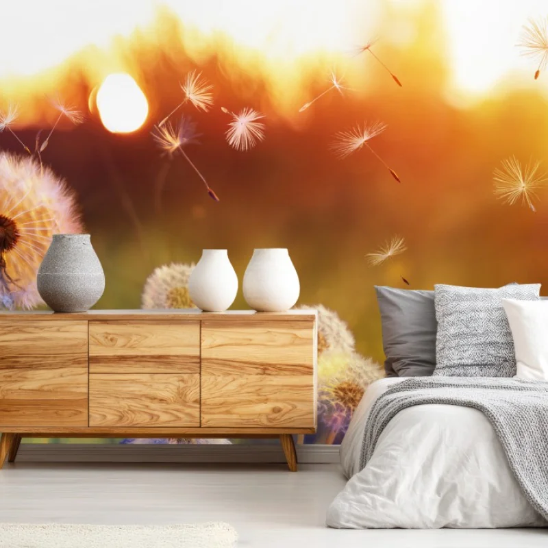 Wall mural golden dandelion meadow at sunset