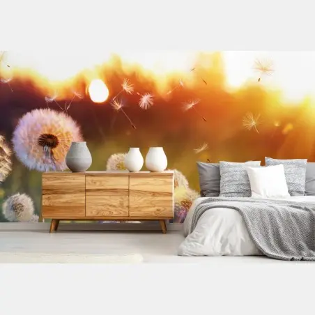 Wall mural golden dandelion meadow at sunset • Wallissimo®