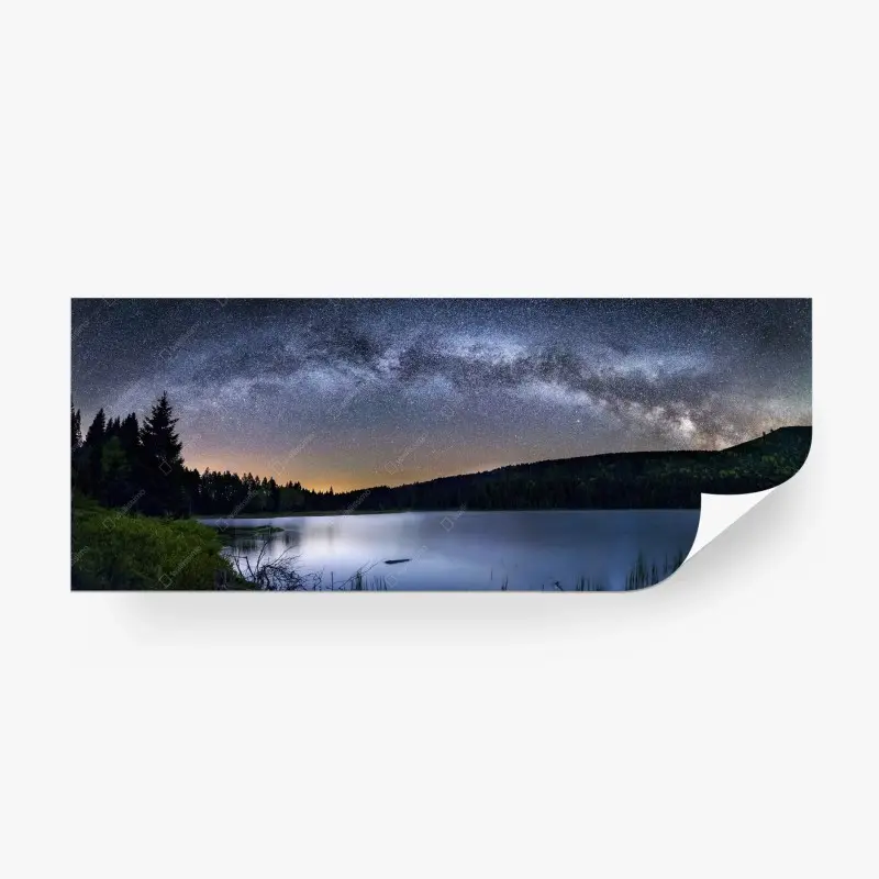 Wall mural world animals map • Wallissimo®