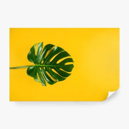Wall mural monstera leaf on vibrant yellow background • Wallissimo®