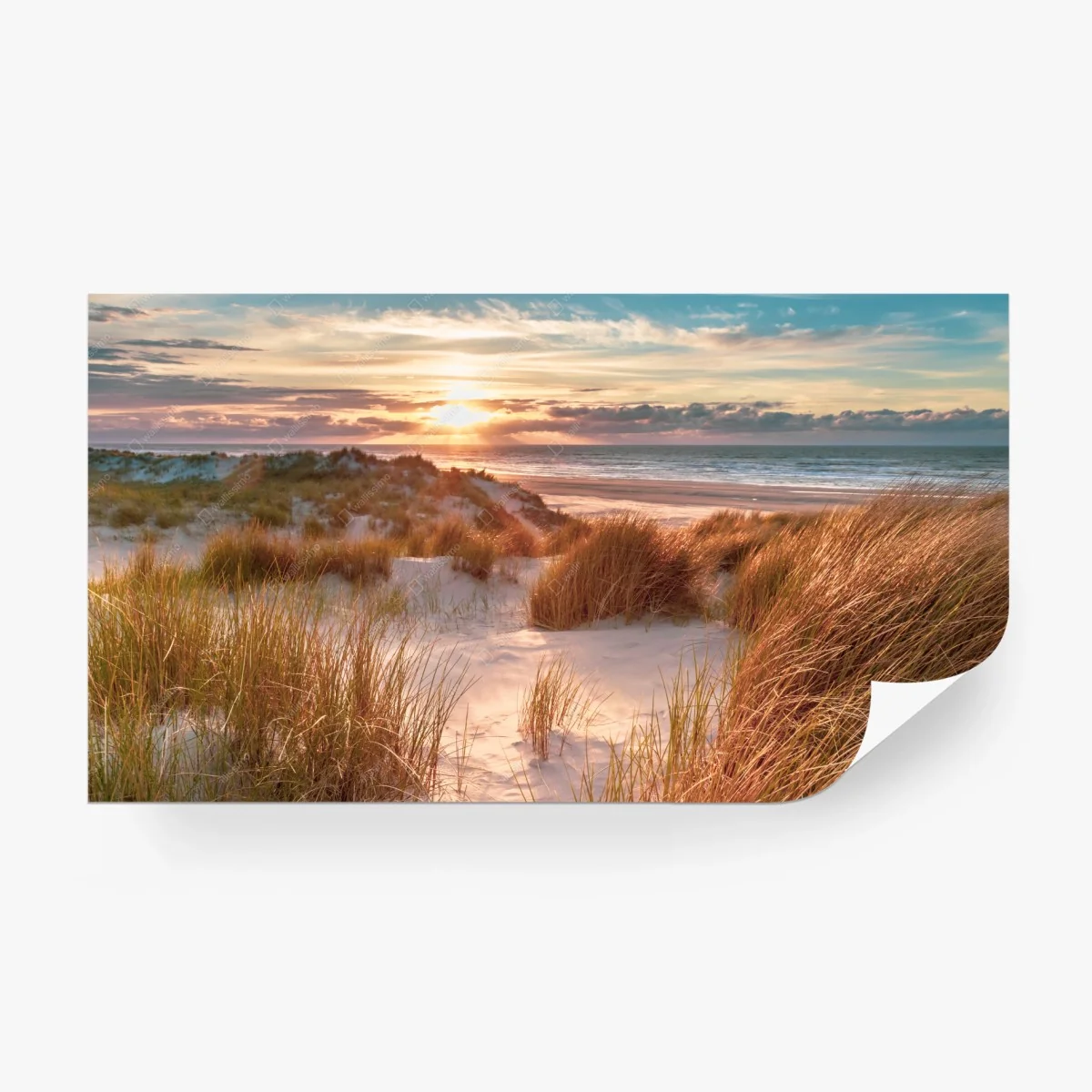 Wall mural sunset over Ameland dunes • Wallissimo® Wall mural sunset over Ameland dunes • Wallissimo®
